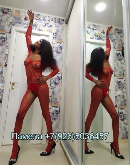 Проститутка Памела - Фото 4 №176501